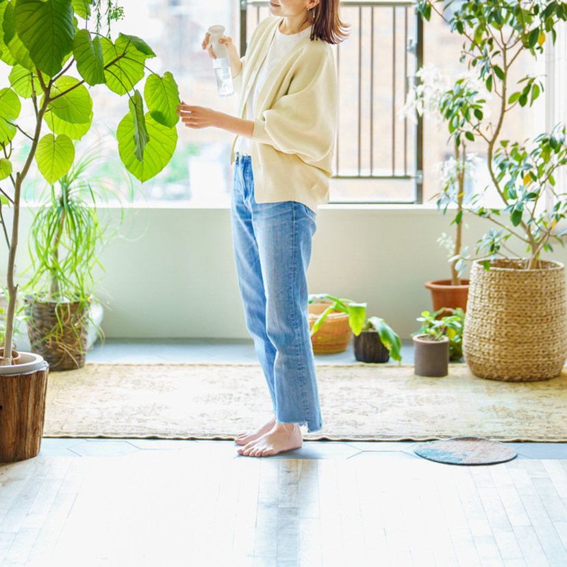 「シンプリスト」とは？大切なものを選んで心地良く過ごす