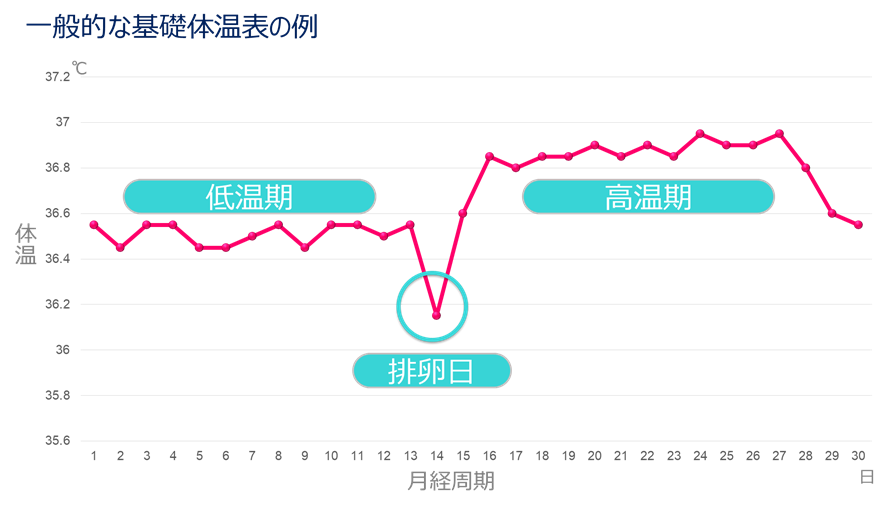 一般的な基礎体温表の例