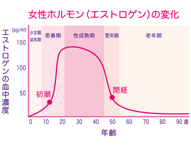 女性ホルモンの変化