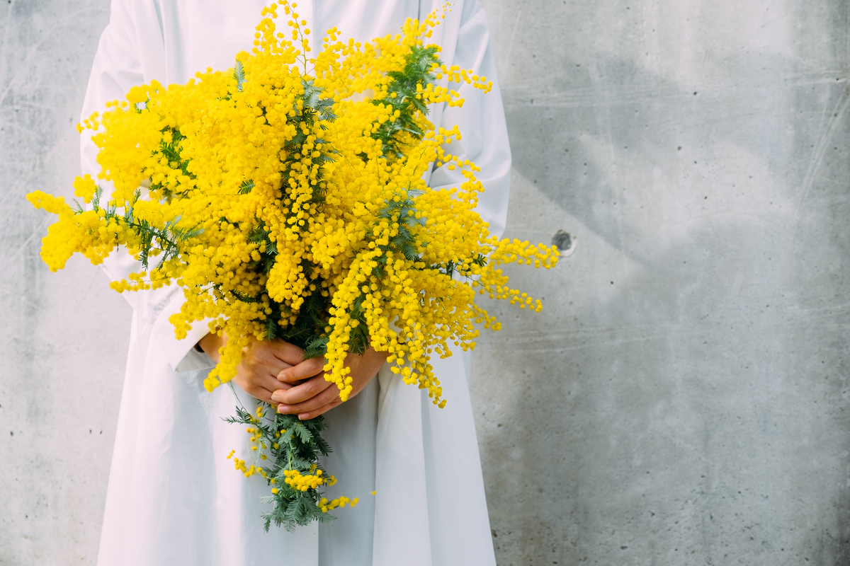 ミモザを受け取る女性
