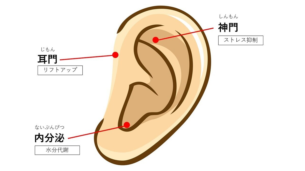 耳つぼ